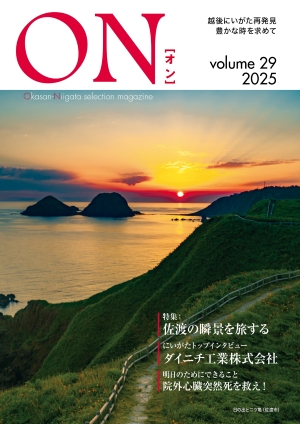 vol.29