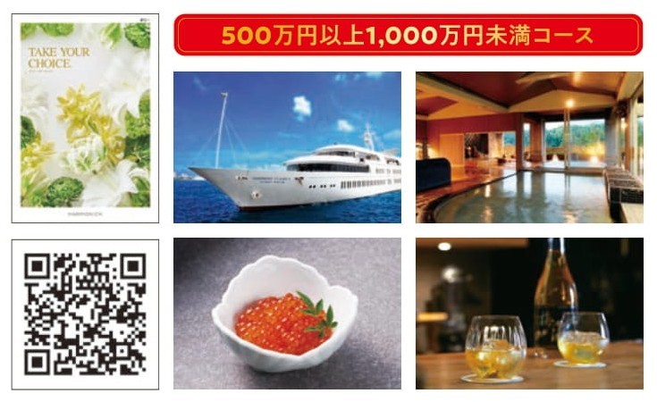 500万円以上1000万円未満コースのイメージ